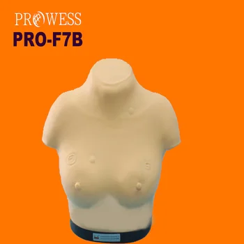 Медицинская обучающая модель PRO-F7B Vivid для осмотра груди и пальпации у пожилых людей